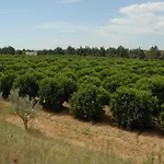 Borgo Valle Rita Séjour à la ferme Marina di Ginosa