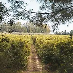 Borgo Valle Rita Séjour à la ferme Marina di Ginosa