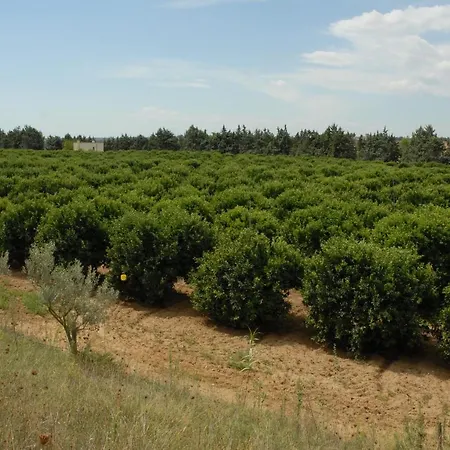 Borgo Valle Rita مزرعة للإقامة Marina di Ginosa