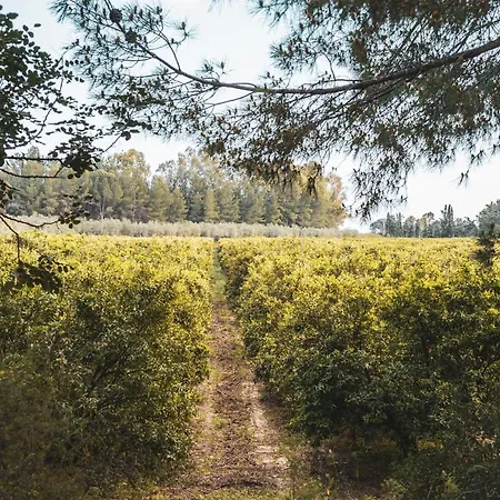 Borgo Valle Rita Farmház Marina di Ginosa