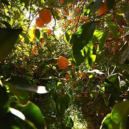Borgo Valle Rita Marina di Ginosa