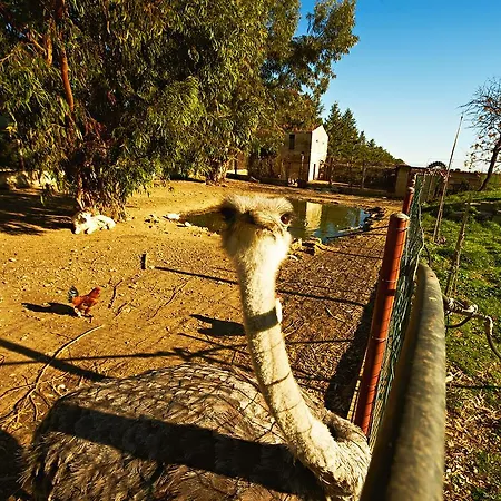 Borgo Valle Rita Farmház Marina di Ginosa