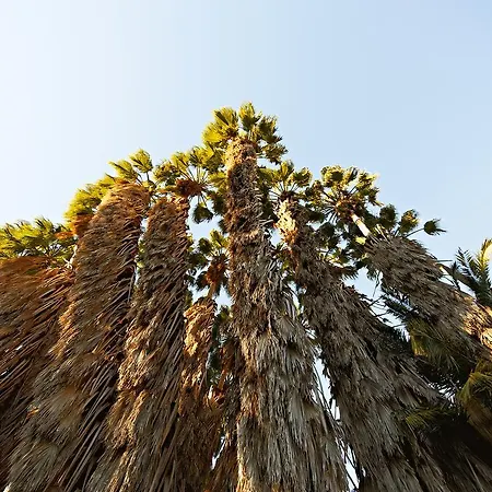 Agroturismo Borgo Valle Rita *