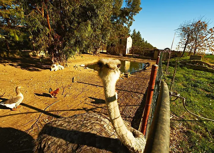 Borgo Valle Rita مزرعة للإقامة Marina di Ginosa