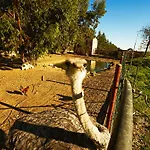 Borgo Valle Rita Farm stay Marina di Ginosa