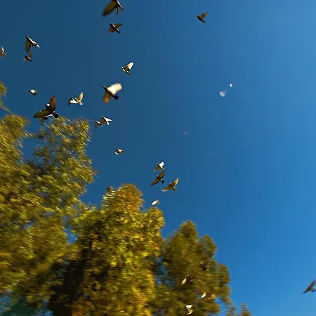 Borgo Valle Rita Gospodarstwo agroturystyczne *