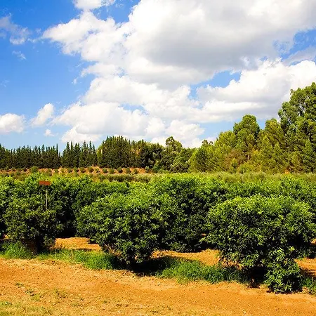 Κατάλυμα σε φάρμα Borgo Valle Rita Marina di Ginosa