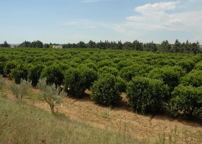 Borgo Valle Rita 农家乐 吉诺萨滨海