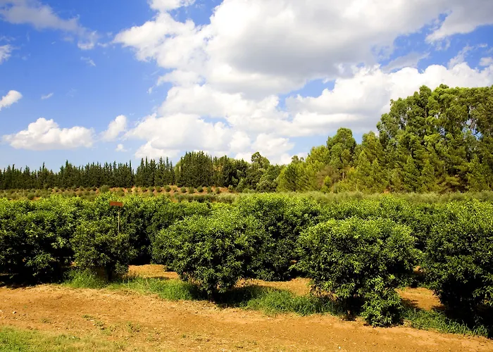 Borgo Valle Rita * 吉诺萨滨海
