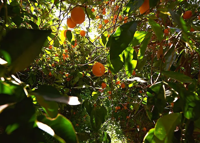 Borgo Valle Rita 吉诺萨滨海