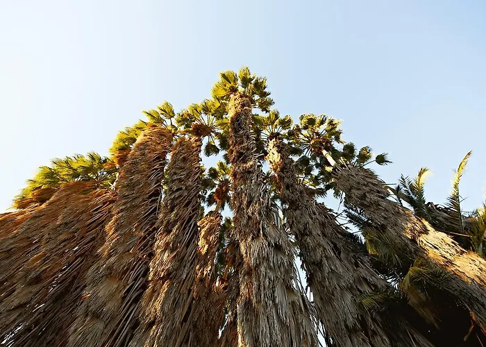 Farm stay Borgo Valle Rita *