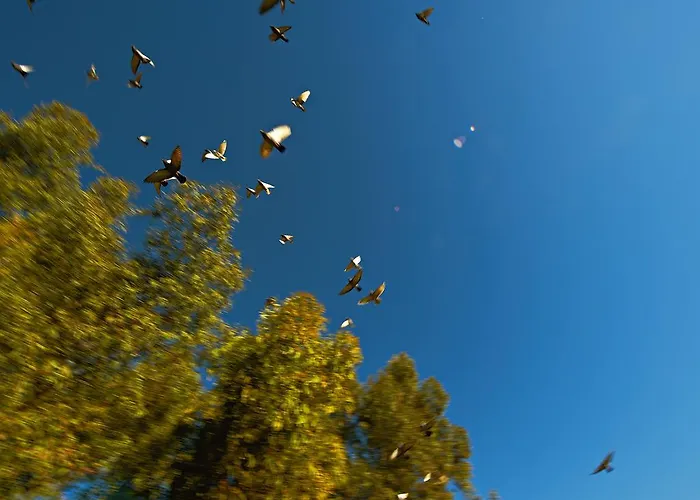 Borgo Valle Rita 农家乐 *