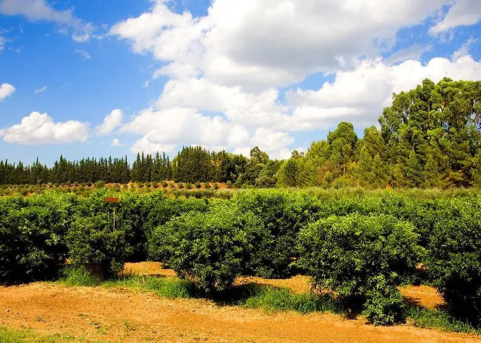 Farm stay Borgo Valle Rita Marina di Ginosa